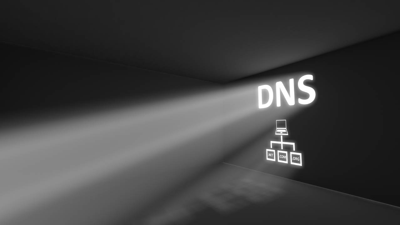 dns