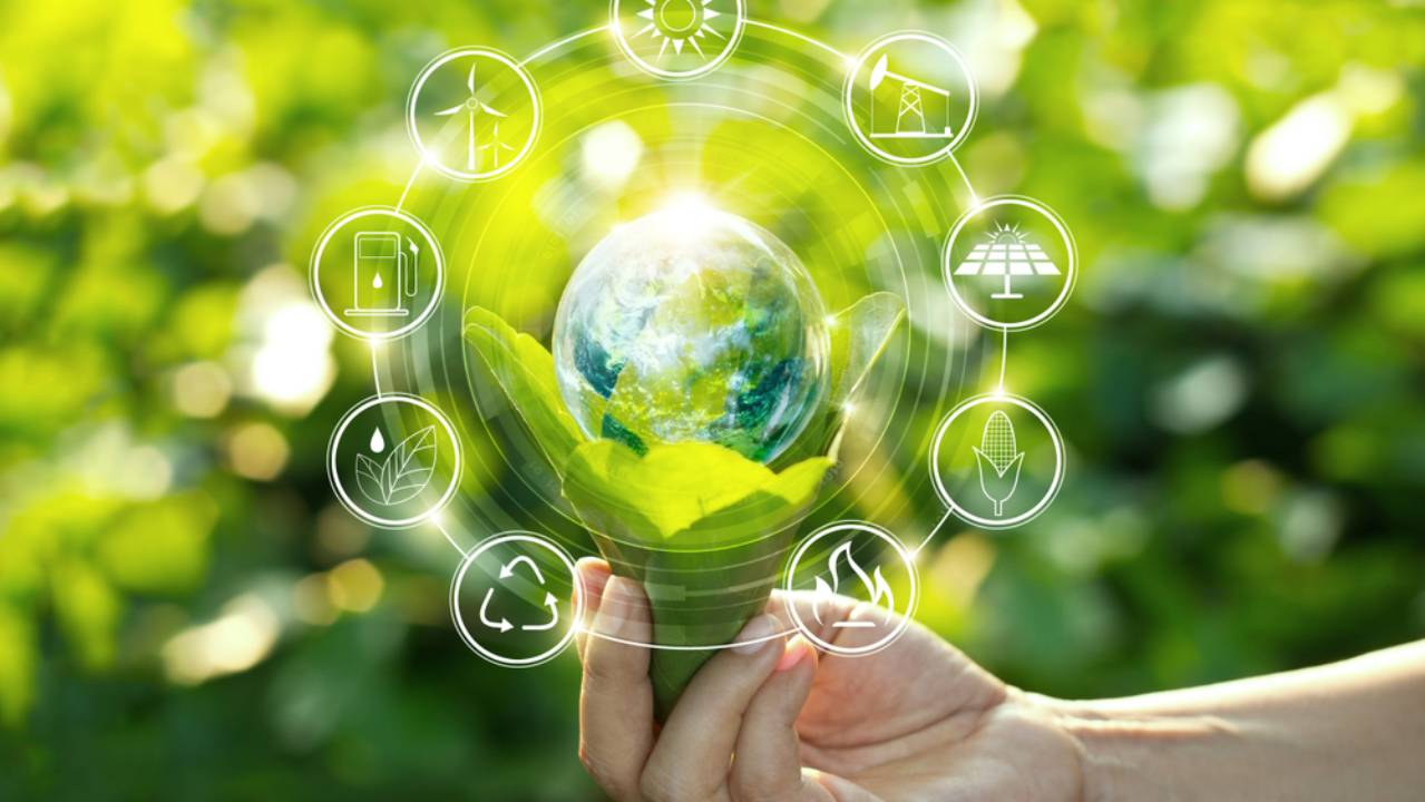 persona che gestisce e tutela la natura