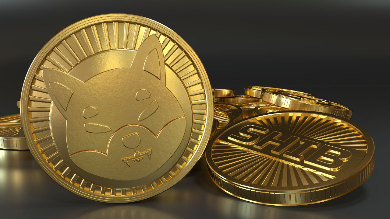 shiba inu coin