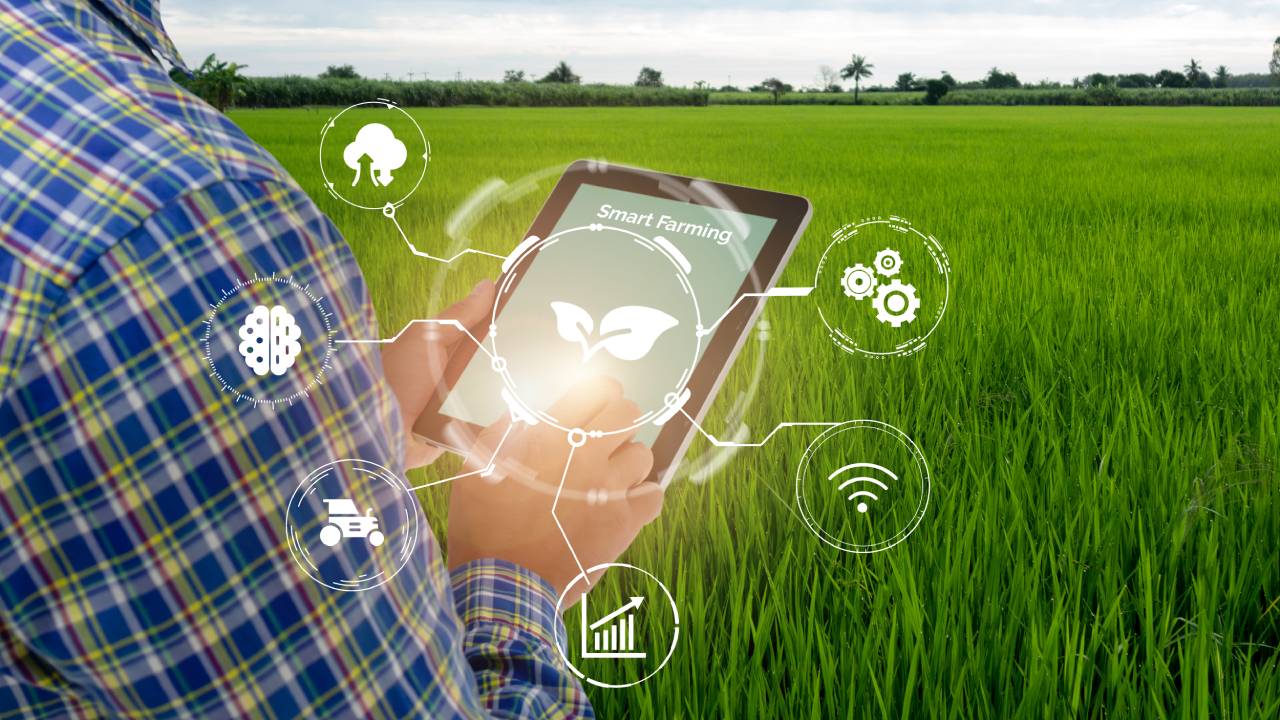 Software precision agriculture