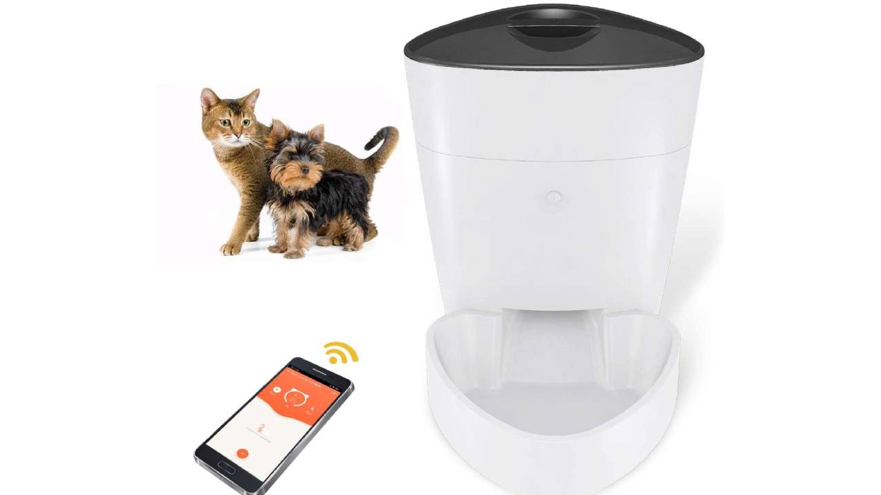 mangiatoia bluetooth pawmate