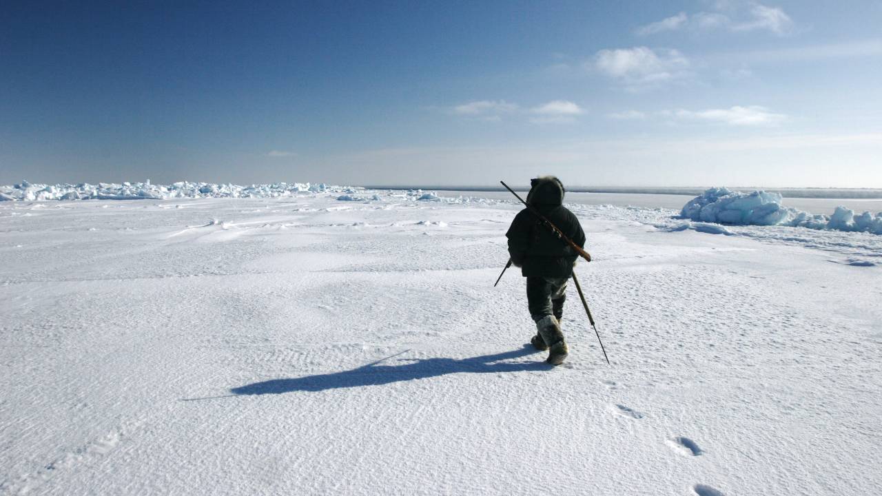 cambiamenti climatici artico