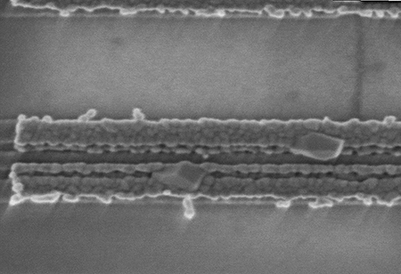 Nanotubi di carbonio