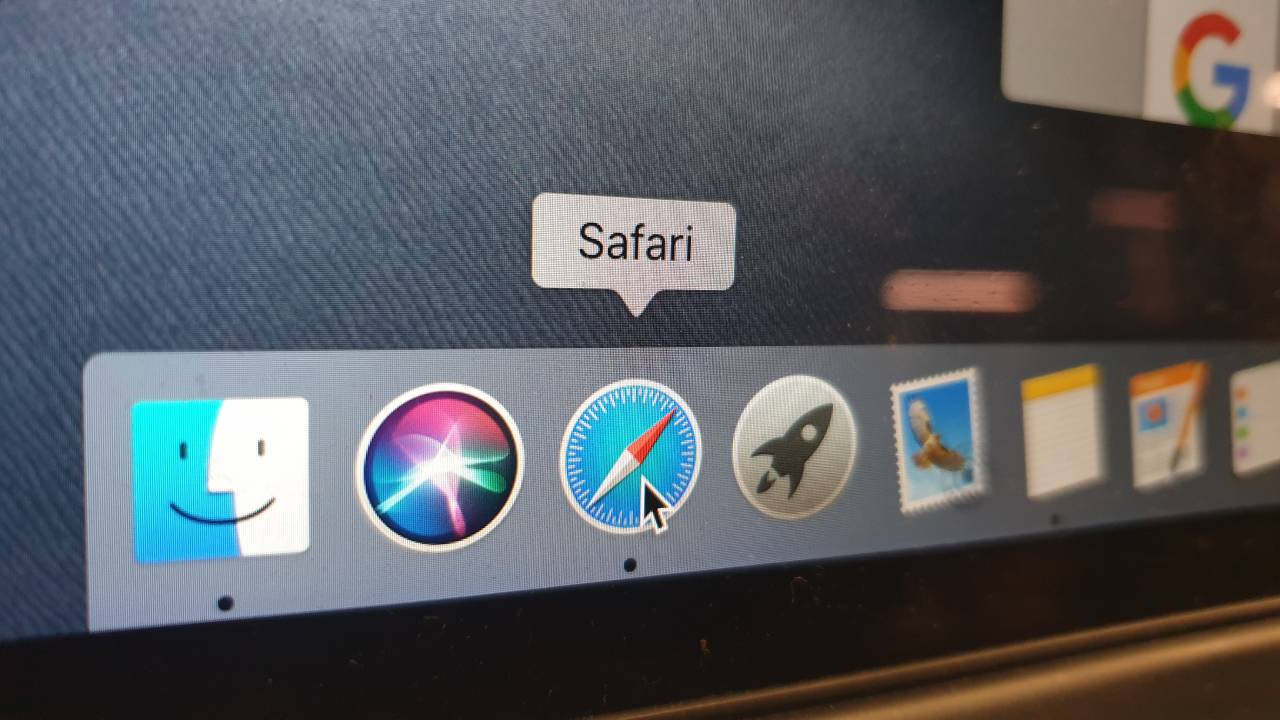 safari