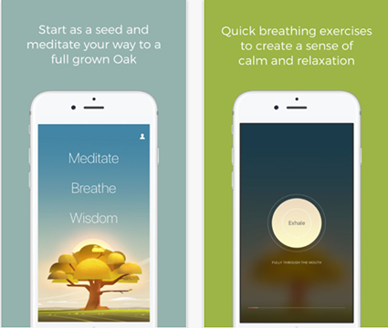 oak app mindfulness