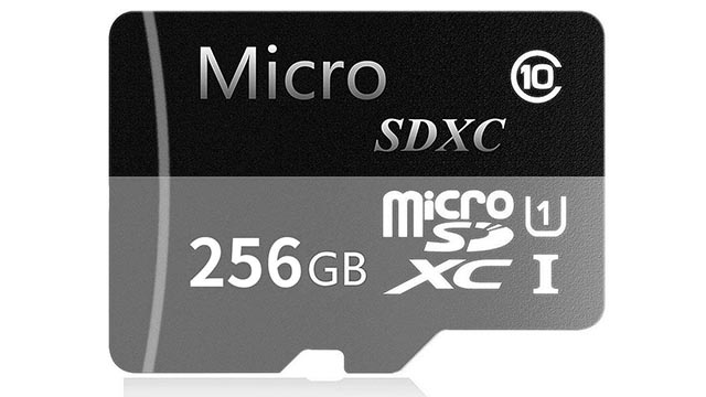 DJHSJDH Scheda SDXC ad Alta velocità Classe 10 256 GB