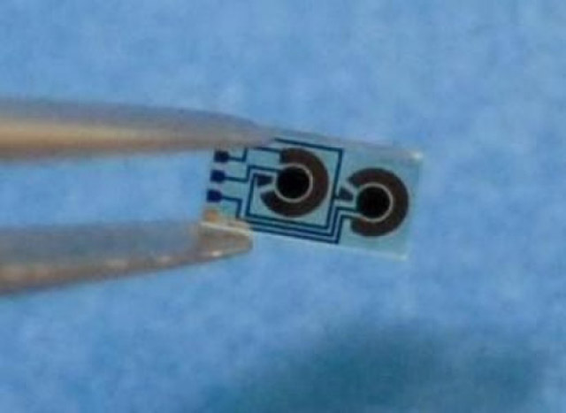 Bio-chip