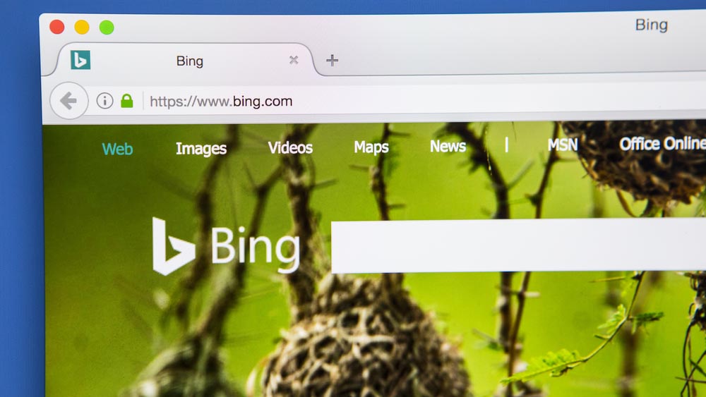 bing