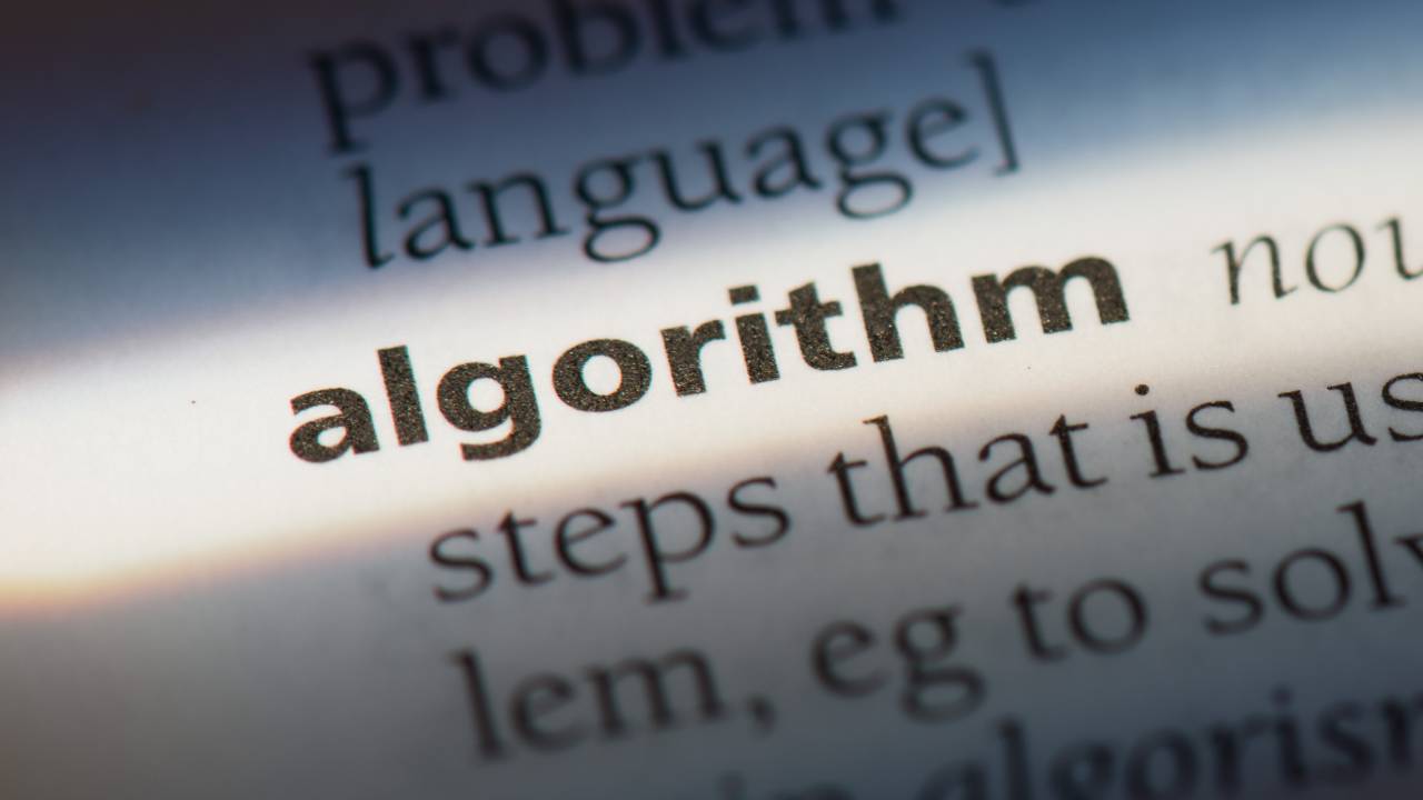Algorithm bias auditors  - algoritmi