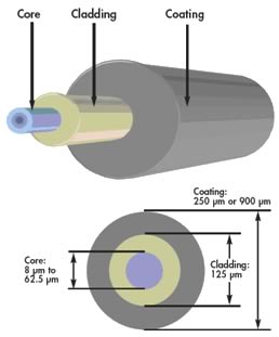 Struttura interna della fibra ottica