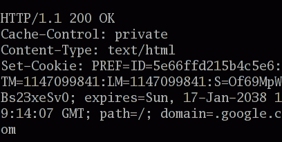 Un cookie generato da una richiesta di accesso a google.com