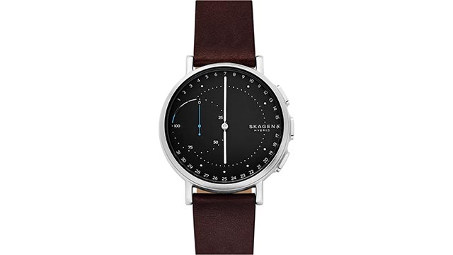 skagen hybrid signature