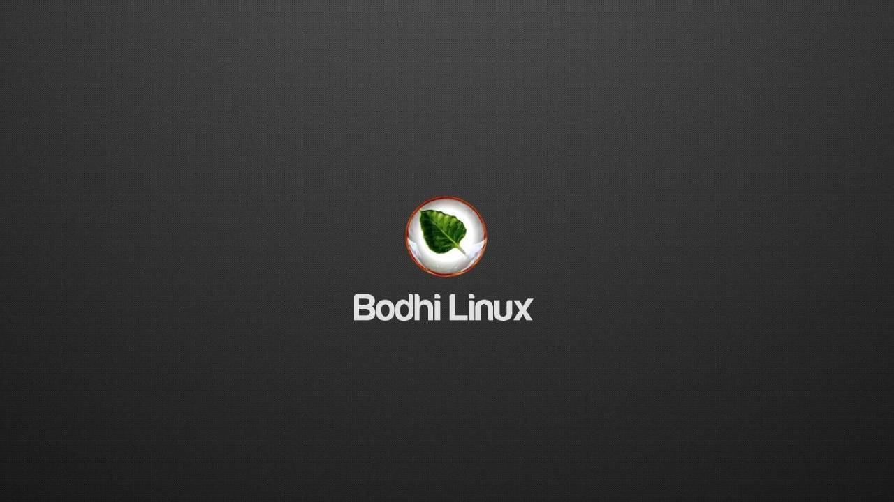 bodhi linux