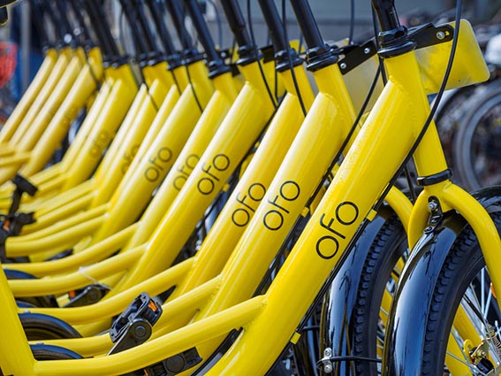 La flotta di Ofo