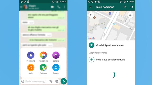 condividi posizione whatsapp