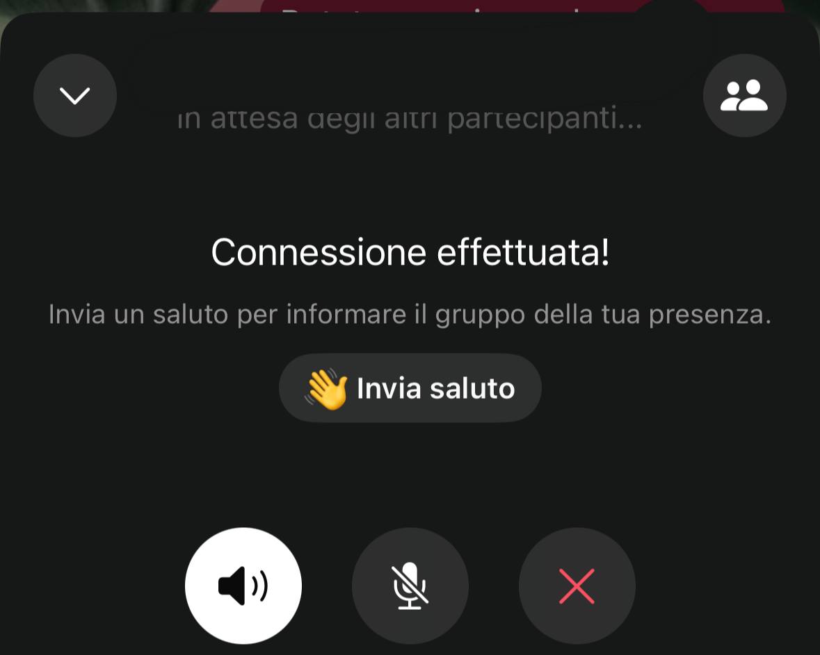 chat vocale su WhatsApp