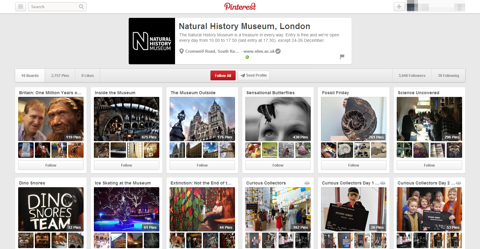 Museo di Storia Naturale di Londra su Pinterest