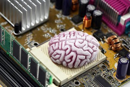 Cervello e processore