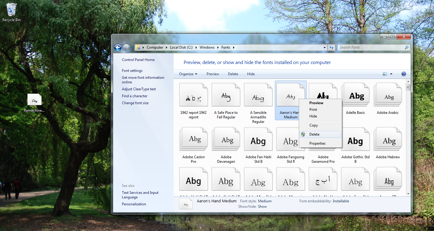 Eliminare un font in Windows