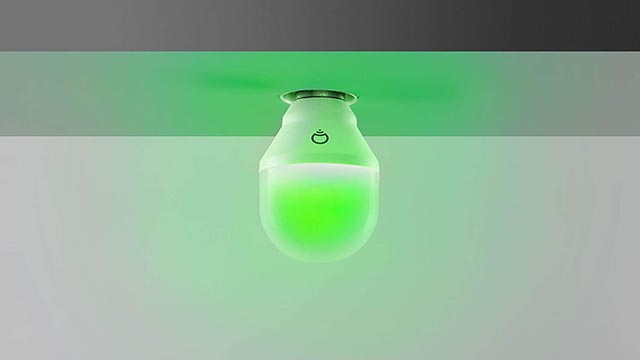 lampadina lifx