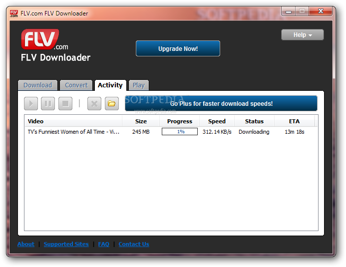 FLV Downloader