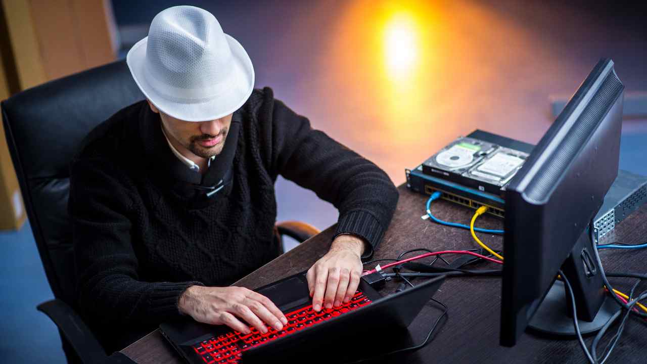 white hat hacker