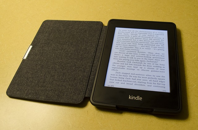 ebook reader kindle