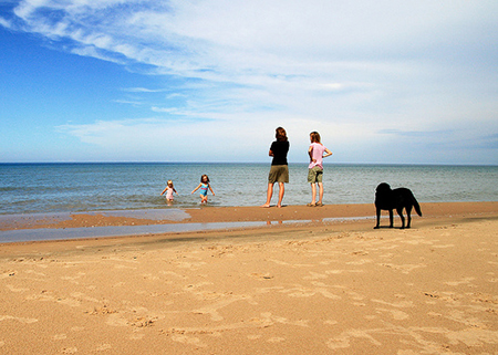 Fido in spiaggia con padroni