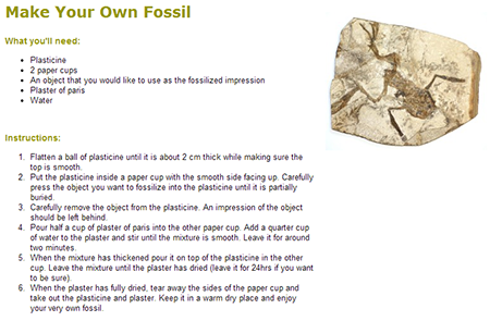 Come creare un fossile in casa