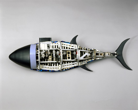 RoboTuna
