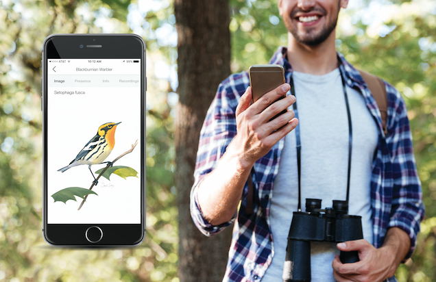 Song Sleuth per iPhone permette di riconoscere i versi degli animali e degli uccelli